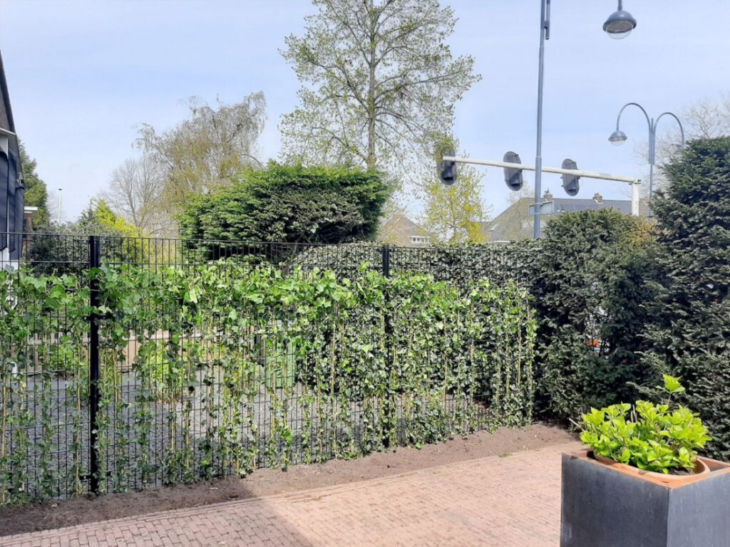 Hekwerk en balustrades in Uithoorn (3)